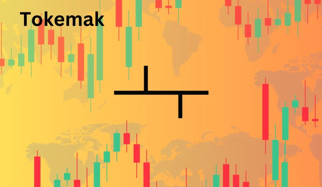 Tokemak-Preisvorhersage