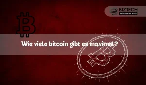 Wie viele bitcoin gibt es maximal