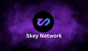 Skey Network Previsione Dei Prezzi