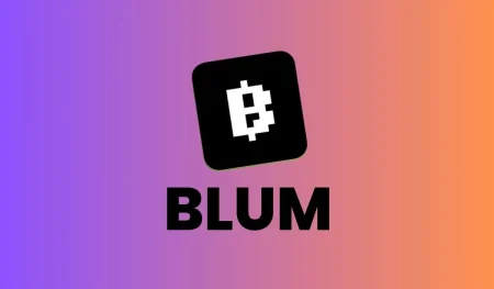 È Probabile Che Il Blum Token Venga Quotato Entro La Fine Di Settembre O L'inizio Di Ottobre