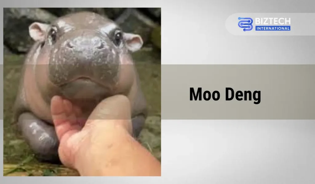 Moo Deng マネーの成功事例