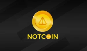 Notcoin 예측