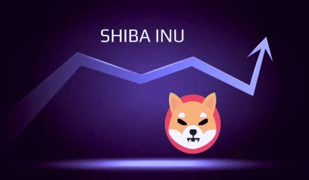 Shiba Inu (SHIB) koersvoorspelling