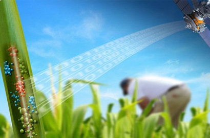 E-agriculture: How ICT is taking farming into the future