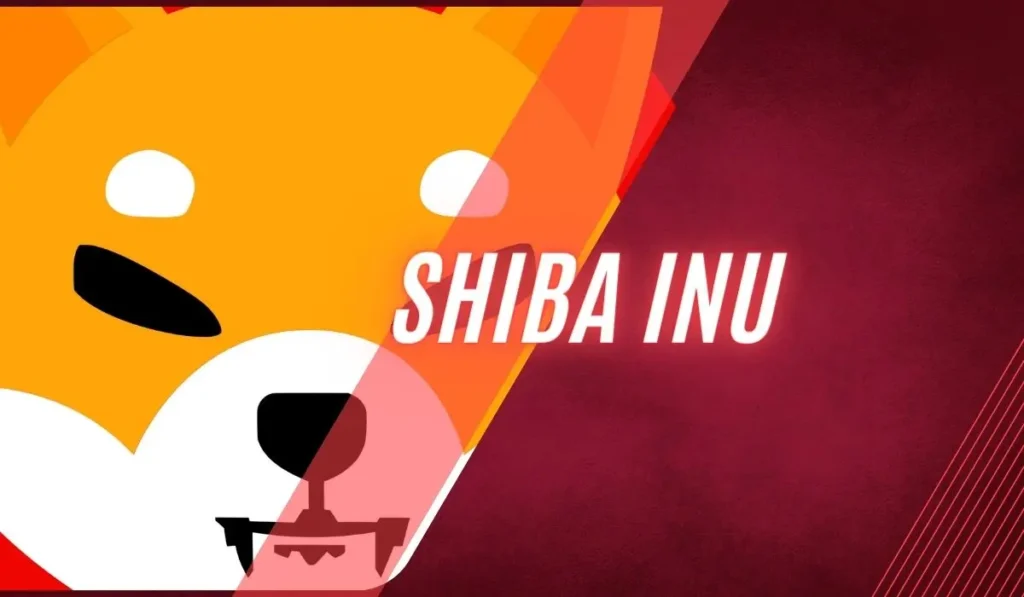 Shiba Inu Coin's Arrival: The Dogecoin Challenger