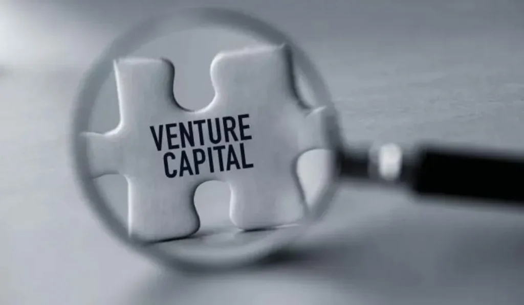 Venture Capitals Losing Market
