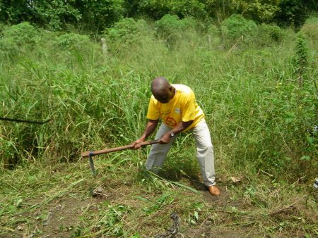 MTN operations recognised for volunteer efforts