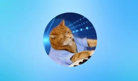 Keyboard Cat Price Prediction