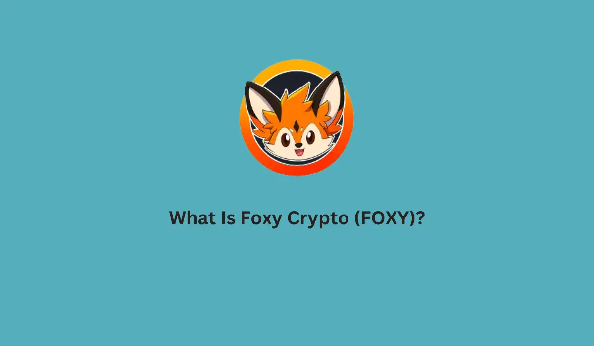 What Is Foxy Crypto
