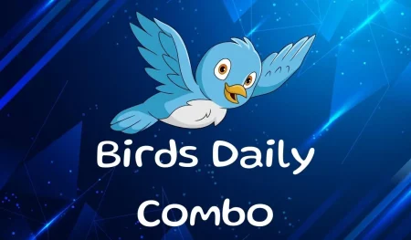 Birds TON Daily Combo