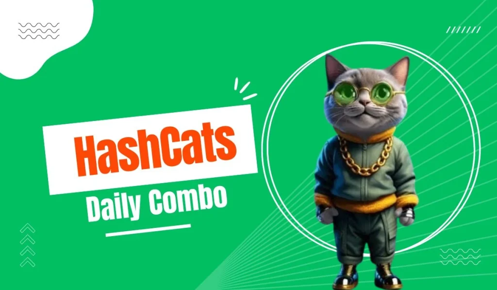 HashCats Daily Combo August 28, 2024