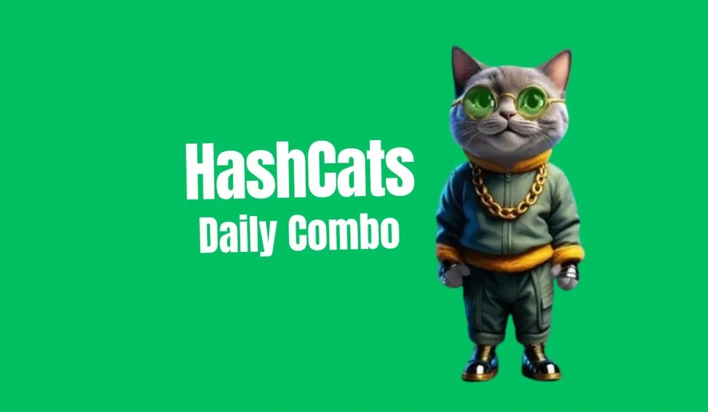 HashCats Daily Combo August 31, 2024