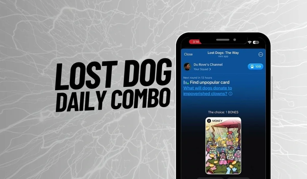 Lost Dog Daily Combo August 24,2024