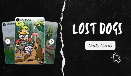 Lost Dogs Winner Card August 27