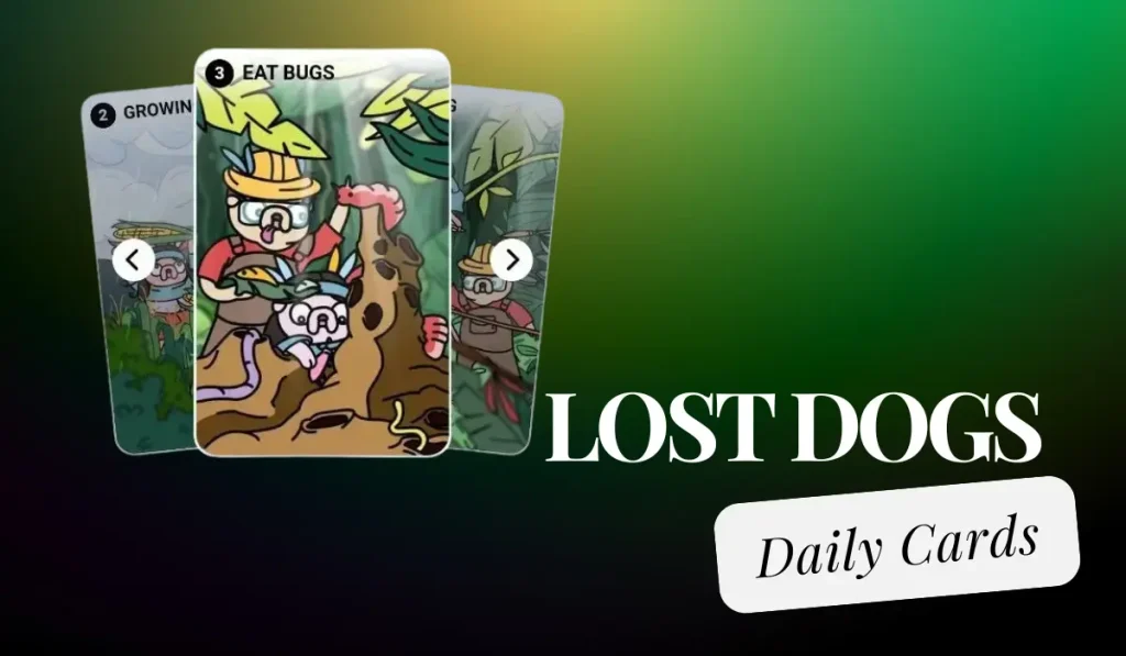 Lost Dogs Winner Card August 30