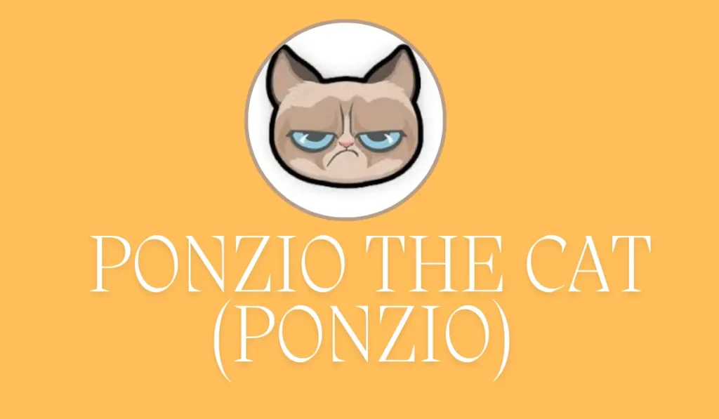 The Cat (PONZIO) price predictions