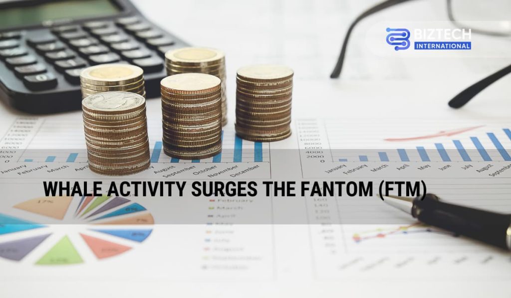 Whale Activity Surges the Fantom (FTM)