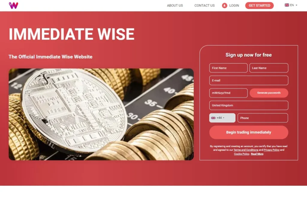 Immediate Wise website original