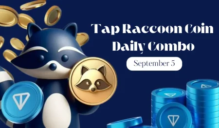 Tap Raccoon Coin Daily Combo September 5