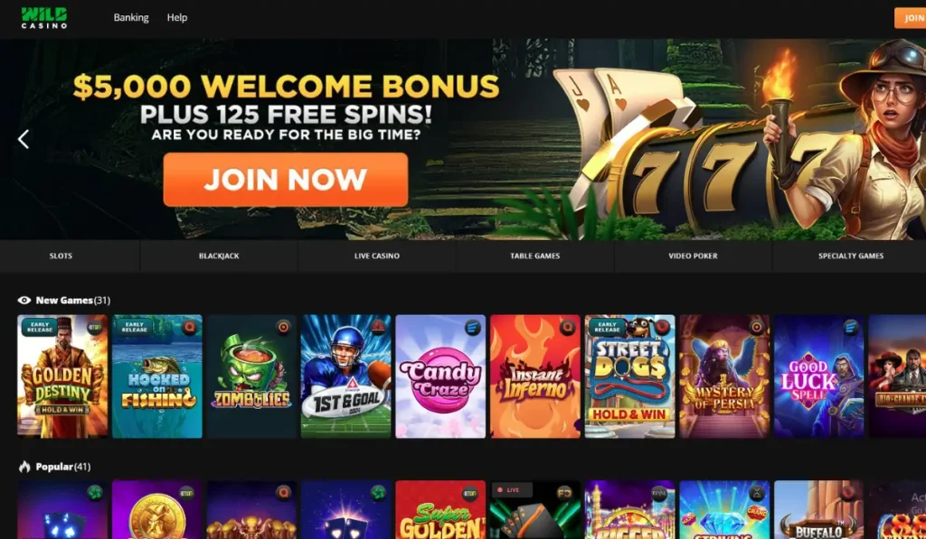 Wild Casino No Deposit Bonus