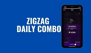 ZigZag Daily Combo