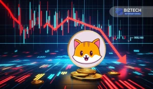 Cate Coin Declines